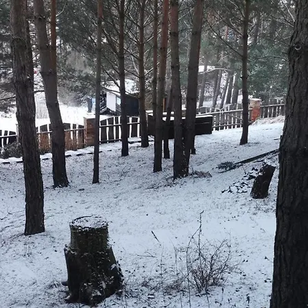 Na Skarpie Z Widokiem Na Jezioro