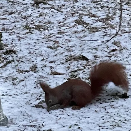 Na Skarpie Z Widokiem Na Jezioro