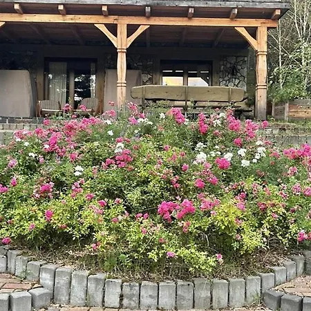 Na Skarpie Z Widokiem Na Jezioro *