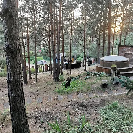 Na Skarpie Z Widokiem Na Jezioro *