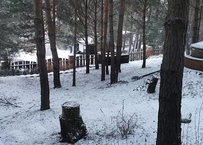 Na Skarpie Z Widokiem Na Jezioro