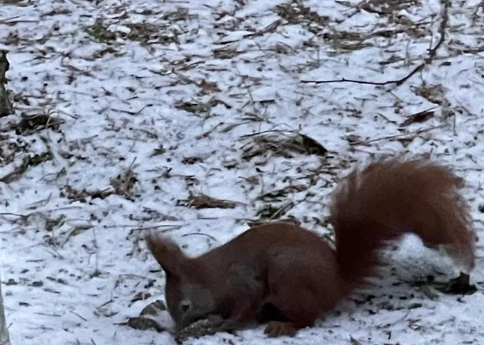 Na Skarpie Z Widokiem Na Jezioro