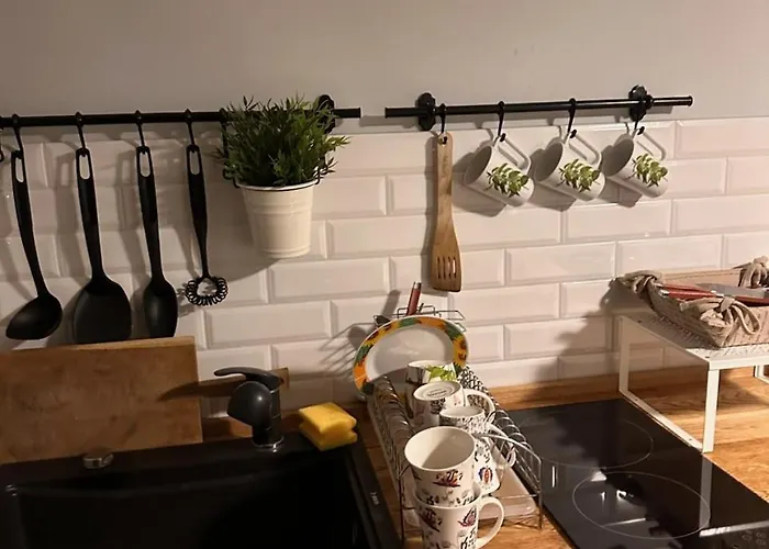 شقة Na Skarpie Z Widokiem Na Jezioro سورنيغاسي