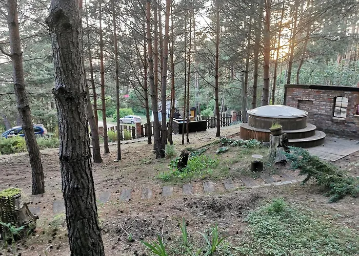 Na Skarpie Z Widokiem Na Jezioro *